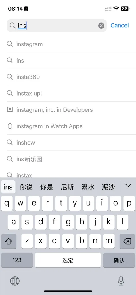 中国区 App Store で Ins と入力、中国語キーボード・2026年8月